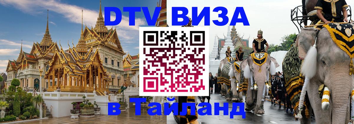 Оформление DTV визы под ключ: стоимость и тарифы, только загранпаспорт - 